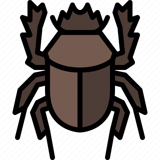 Animal, bug, dung beetle, garden, insect, nature, spring icon - Download on Iconfinder