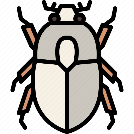 Animal, bug, garden, insect, nature, scarab beetle, spring icon - Download on Iconfinder