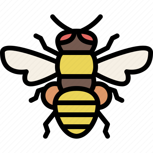 Animal, bug, garden, honeybee, insect, nature, spring icon - Download on Iconfinder