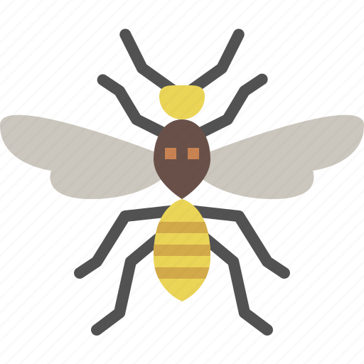 Animal, bug, garden, insect, nature, spring, wasp icon - Download on Iconfinder