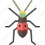 animal, bug, garden, insect, nature, spring, tiger beetle 