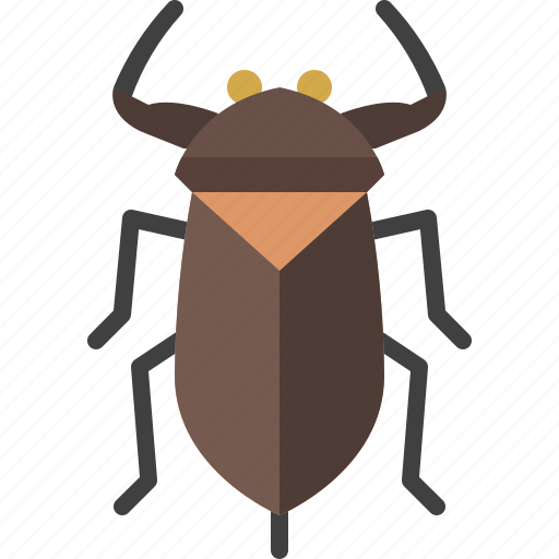 Animal, bug, garden, giant water bug, insect, nature, spring icon - Download on Iconfinder