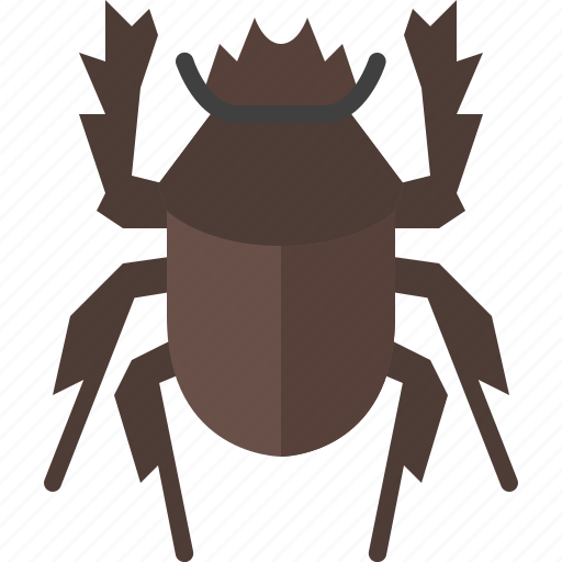 Animal, bug, dung beetle, garden, insect, nature, spring icon - Download on Iconfinder