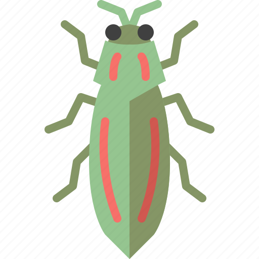 Animal, bug, garden, insect, jewel beetle, nature, spring icon - Download on Iconfinder