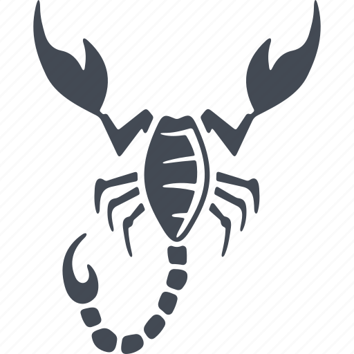 Insects, insect, scorpio, nature icon - Download on Iconfinder