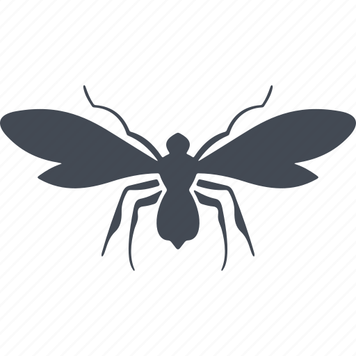 Insects, insect, wings, mosquito icon - Download on Iconfinder