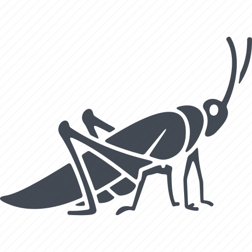 Insects, foot, insect, grasshopper icon - Download on Iconfinder