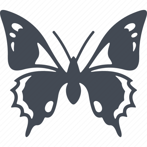 Insects, butterfly, insect, nature icon - Download on Iconfinder