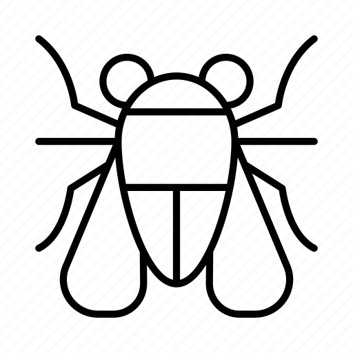 Bug, bugs, fly, garden, insect, insects, nature icon - Download on Iconfinder