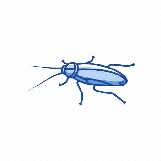 Animal, bug, cockroach, insect, ship cockroach, waterbug icon - Download on Iconfinder