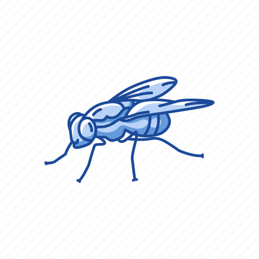 Animal, bee, beeswax, flying creature, insect, invertebrates, wasp icon - Download on Iconfinder