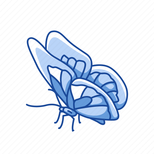Animal, butterfly, flying insects, insect, moth, pest, skipper icon - Download on Iconfinder