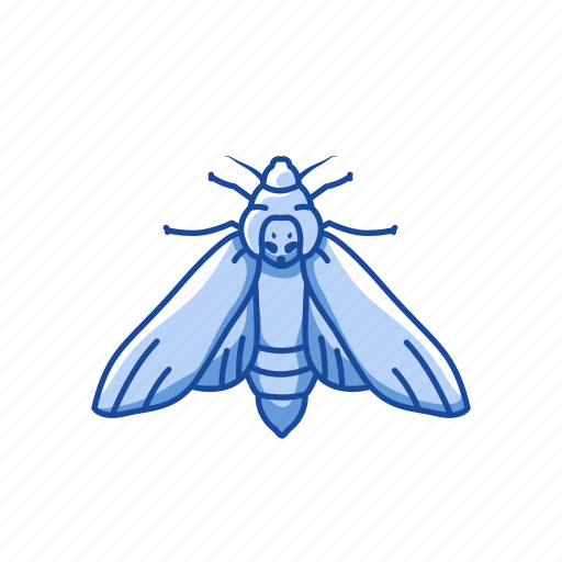 Animal, butterfly, flying insect, insects, maggot, moth, pest icon - Download on Iconfinder