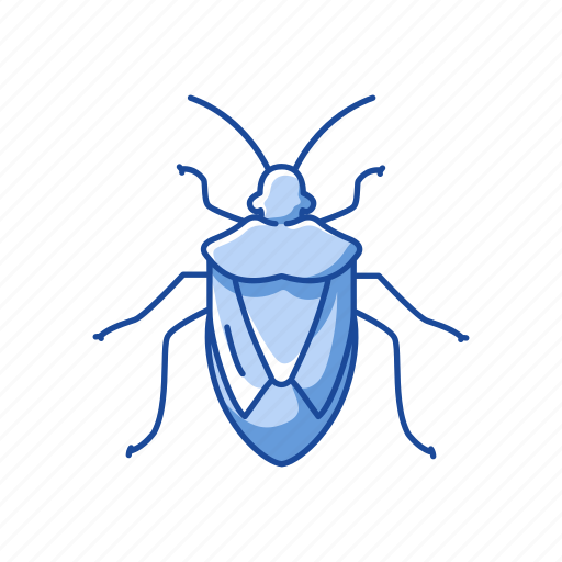 Animal, beetle, bug, insect, shield bug, stink bug icon - Download on Iconfinder