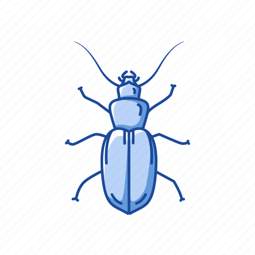 Animal, beetle, bug, darkling beetle, insects, pest, scarab icon - Download on Iconfinder
