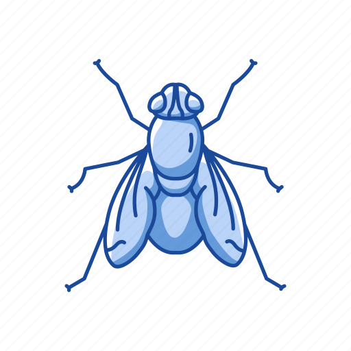 Animal, bloodsucker, housefly, insect, invertebrate, pest icon - Download on Iconfinder
