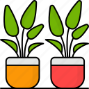plant pot, succulent, flower, decoration, leafs, bonsai 