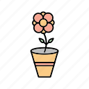 floral, flower, pot, with