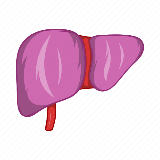 Anatomy, body, cartoon, human, liver, organ, sign icon - Download on Iconfinder