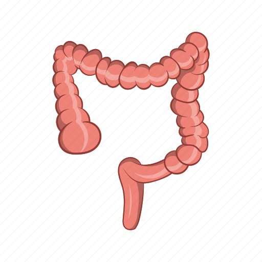Anatomy, cartoon, colon, human, intestine, medical, sign icon - Download on Iconfinder