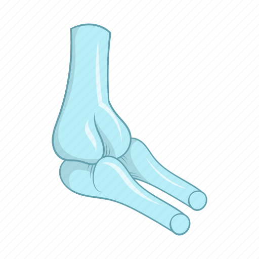 Anatomy, bones, cartoon, human, medical, sign, skeleton icon - Download on Iconfinder