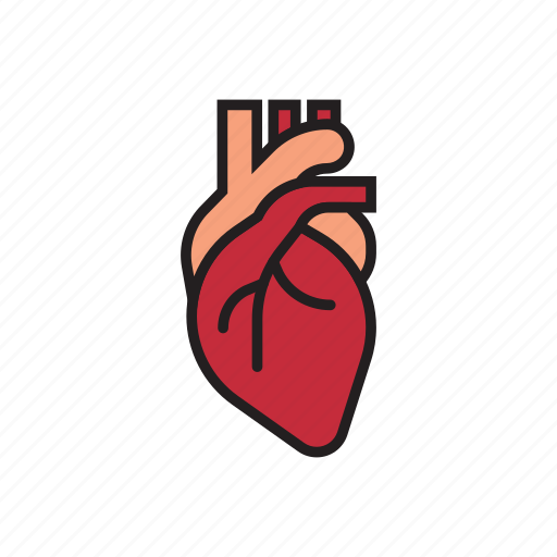Body, heart, hearthbeat, human, internal organs, live, organs icon - Download on Iconfinder