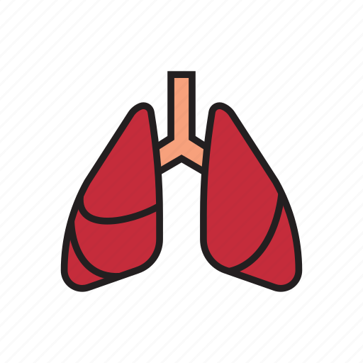 Body, breath, breathe, human, internal organs, lungs, organs icon - Download on Iconfinder