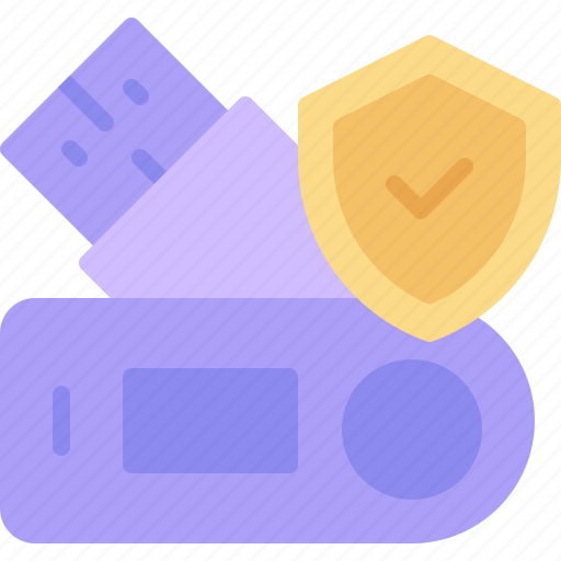 Flash, drive, privacy, protection, data, shield icon - Download on Iconfinder