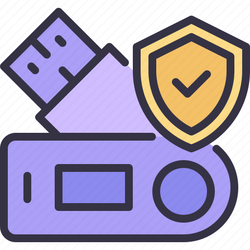 Flash, drive, privacy, protection, data, shield icon - Download on Iconfinder