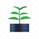 flower, coin, leaves, growth, plant, finance, money