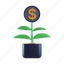 money, plant, dollar, finance, currency, cash, coin 