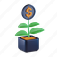 money, plant, coin, growth, cash, finance, nature 