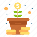 coins, growth, money, tree
