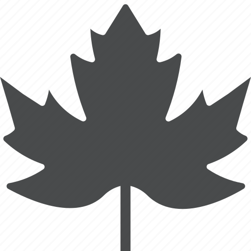Leaf, maple, canadian icon - Download on Iconfinder