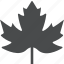 leaf, maple, canadian 