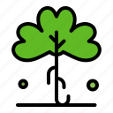 clover, green, ireland, irish, plant