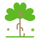 clover, green, ireland, irish, plant