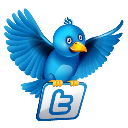 Bird, twitter icon - Free download on Iconfinder