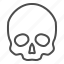 skull, human, skeleton, person, head 