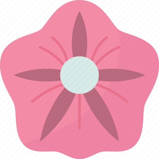 Flower, morning, glory, bloom, summer icon - Download on Iconfinder