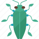 beetle, jewel, insect, luck, charms