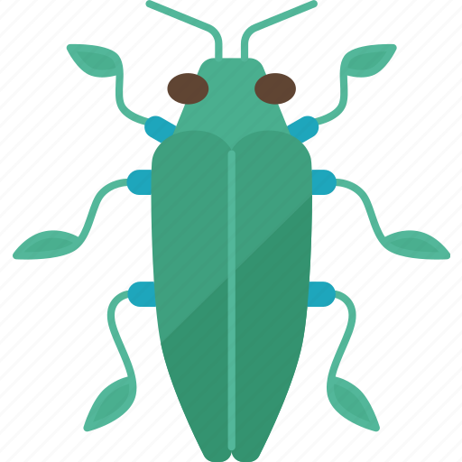 Beetle, jewel, insect, luck, charms icon - Download on Iconfinder