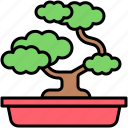 japanese, nippon, japan, culture, new year, bonsai, tray planting