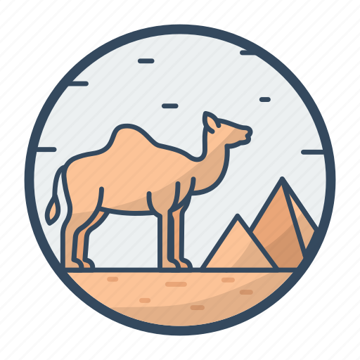 Camel, desert, animal, ride, transport icon - Download on Iconfinder