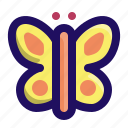 animal, butterfly, garden, insect, moth, spring