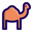 animal, camel, desert, humps