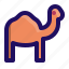animal, camel, desert, humps 