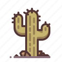 cactus, desert, dry, sand, succulent