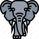 elephant, ivory, africa, national, park