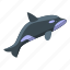 killer, whale, fast, isometric 